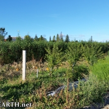 Kula Permaculture farm